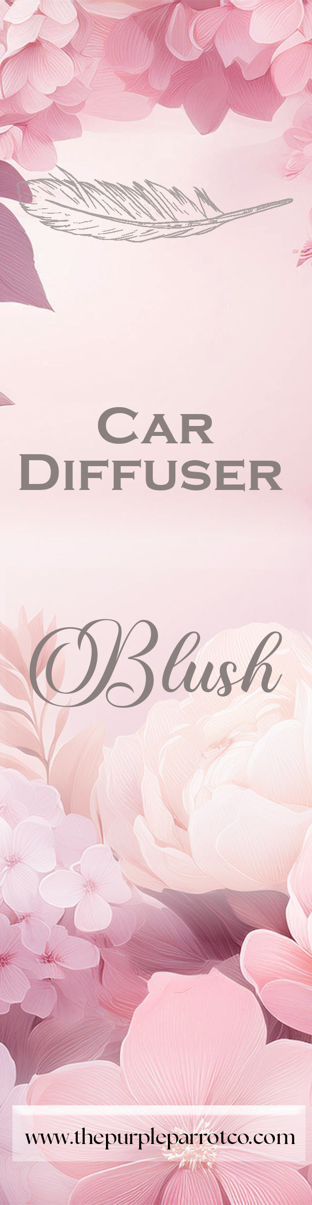 Car Diffuser